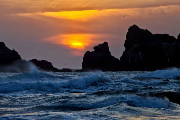 USA, Oregon, Bandon Sunset over sea stacks